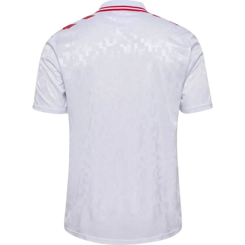 Denmark 24/25 II Away Jersey - Fan Version